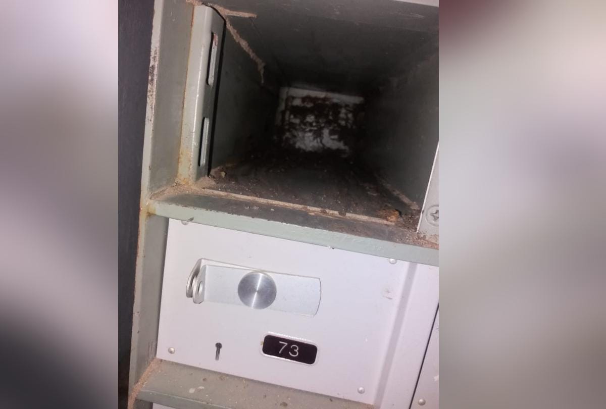 Termite on 1.5 lack rupees note in bank locker of kangra central cooperative bank