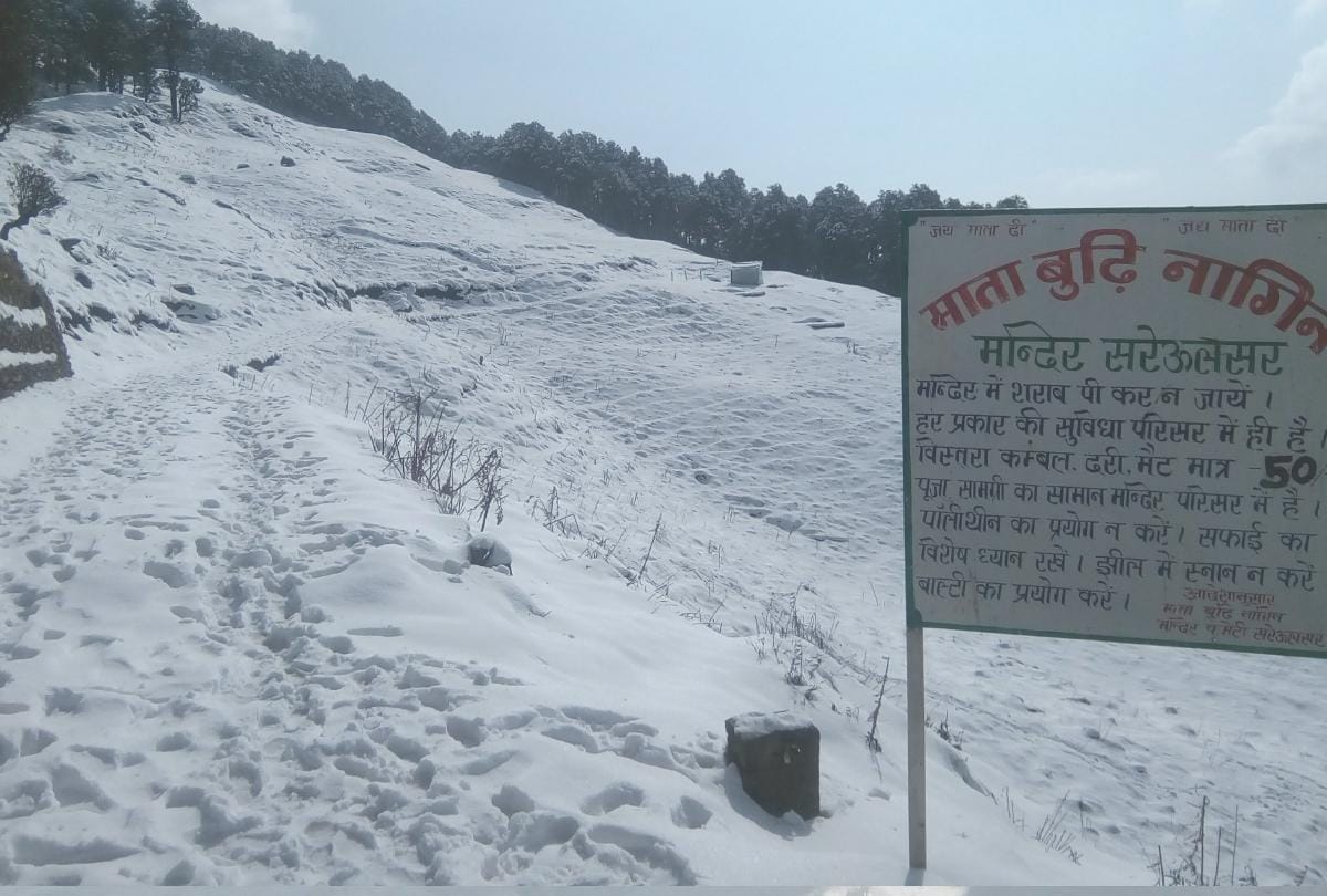 Heavy Snowfall In Lahaul Spiti Kinnaur Kullu Manali Keylong Chamba  Rain In Shimla Himachal Prades
