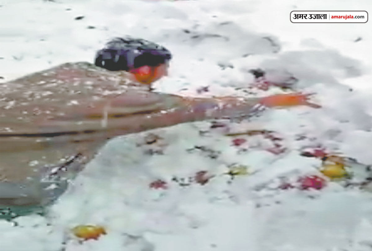 Untimely snowfall damages apple crop in Kashmir