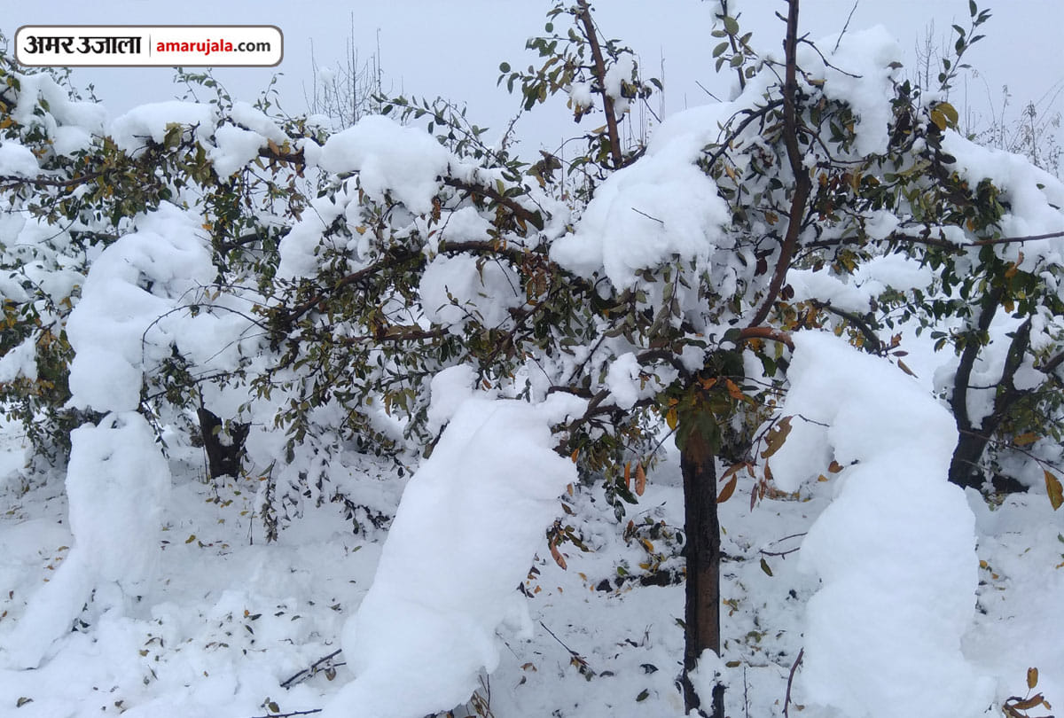 Cold wave continues throughout Kashmir