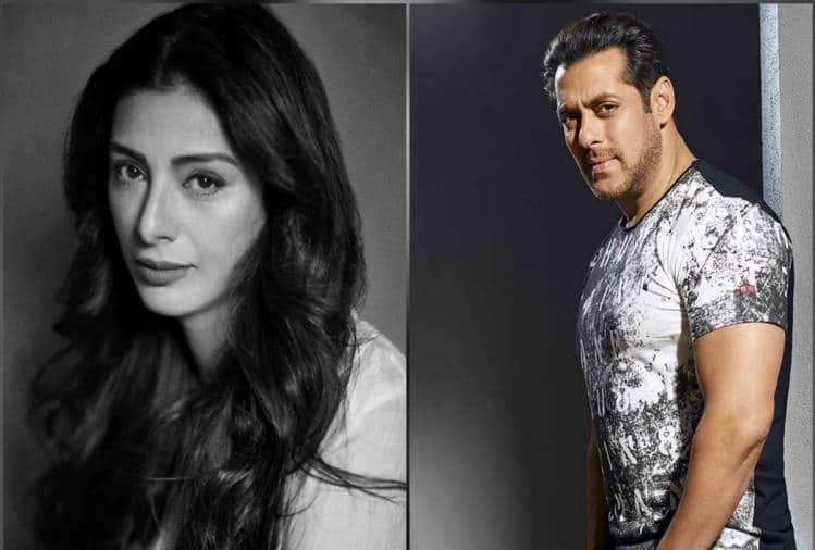 tabu birthday to salman khan niece alizeh agnihotri bollywood debut