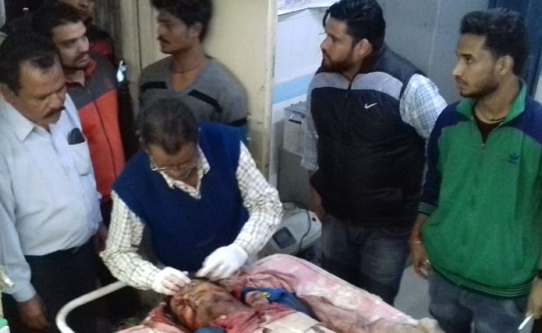 बाघिन के हमले में मजदूर की मौत