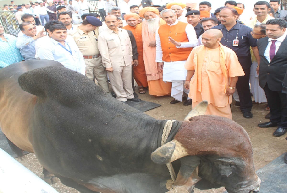 Gurukul education system will be established as the biggest power in the world said yogi adityanath