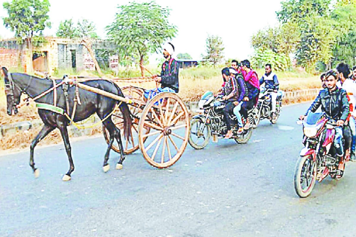 Horse race on the highway in Baghpat video gone viral