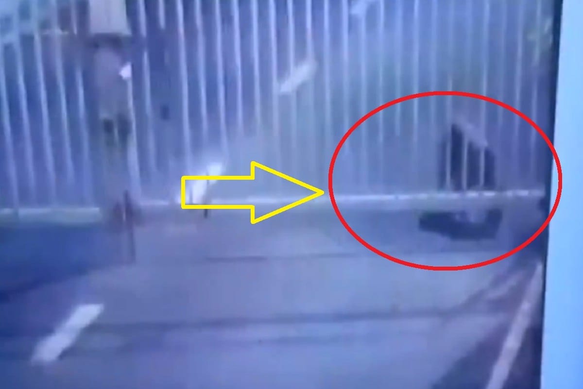 leopard enters in Gujarat Vidhansabha and 100 people team is trying to capture him