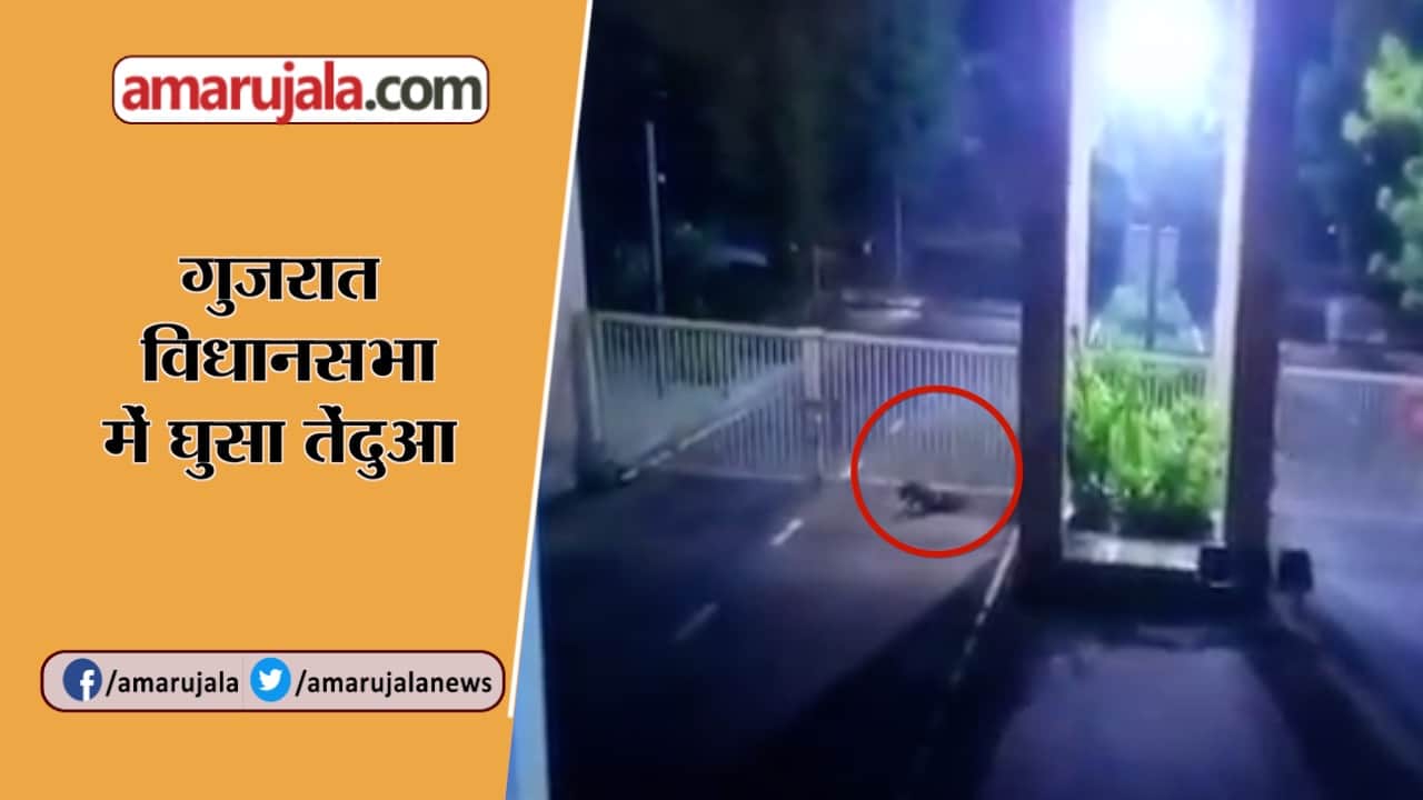 बड़ी खबरें