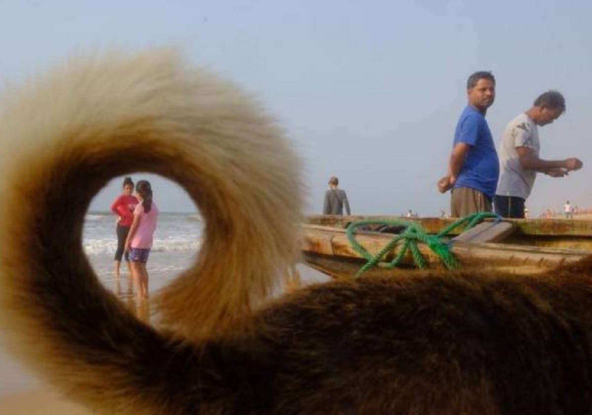 Perfectly timed photos viral on social media