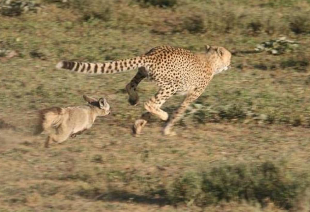 Perfectly timed photos viral on social media