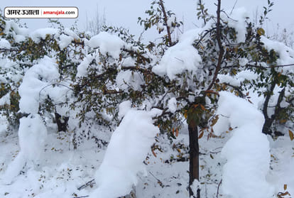 best snow fall in country