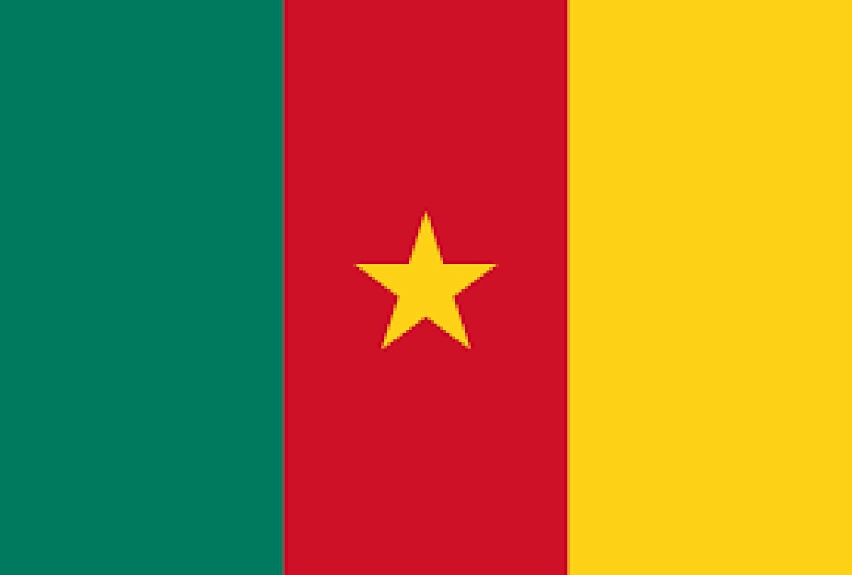 Separatists left 79 schoolchildren kidnapped from Cameroon