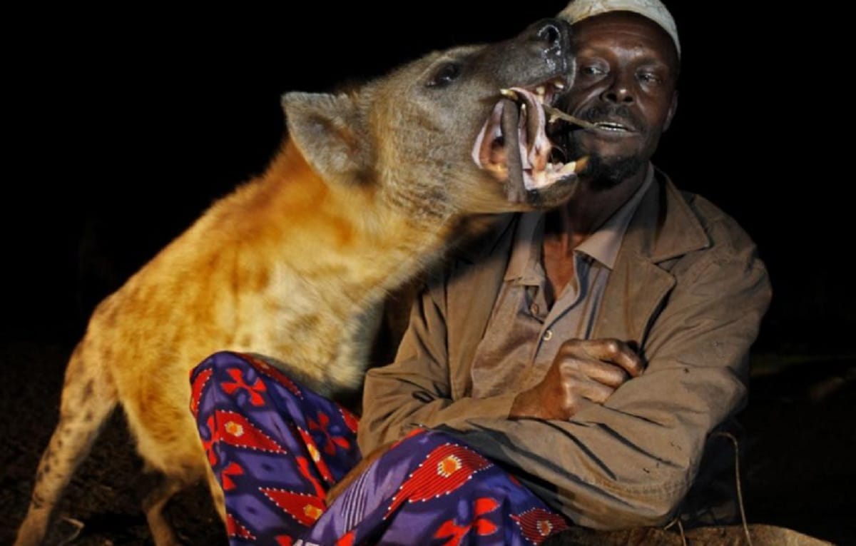 in this city People call Hyena for party