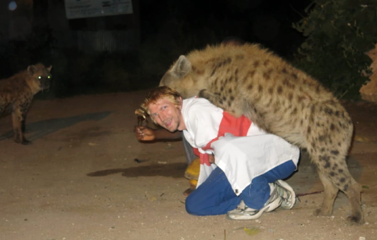 in this city People call Hyena for party