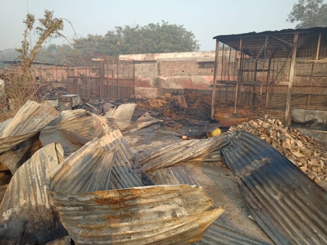 Death of a person by fire in the grain market
