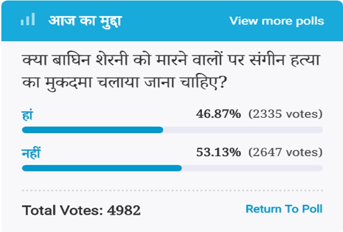 Amar Ujala Poll: Those who killed the tigress tigers should not be prosecuted for murder