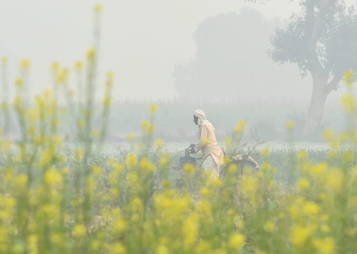 North India covered with smog, pollution level rise after diwali