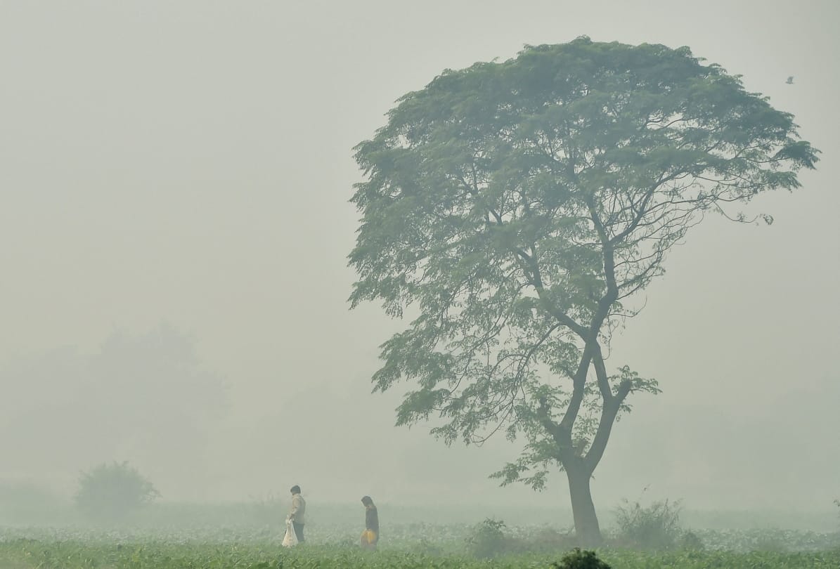Haryana Weather update: minimu tepreature in Narnaul 5.3 dc