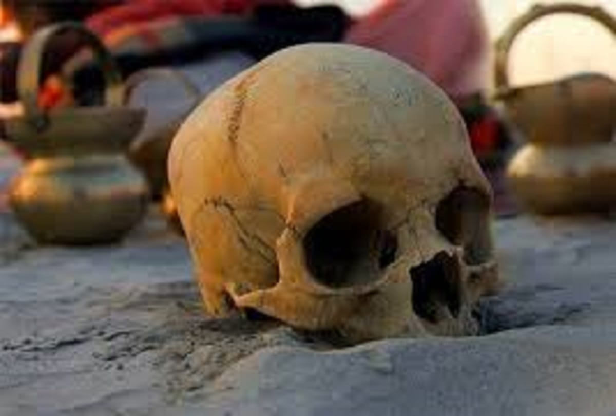 West Bengal Tantric used magic on children who went to play in the forest, two died