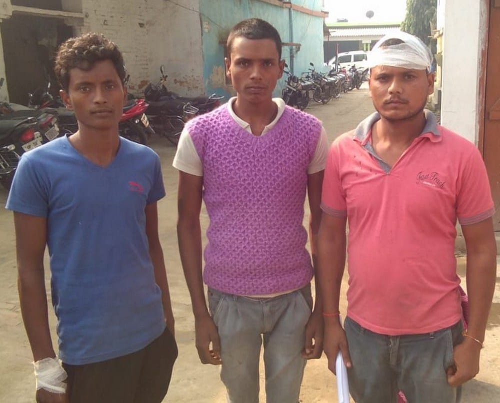animals thief attacked on villagers