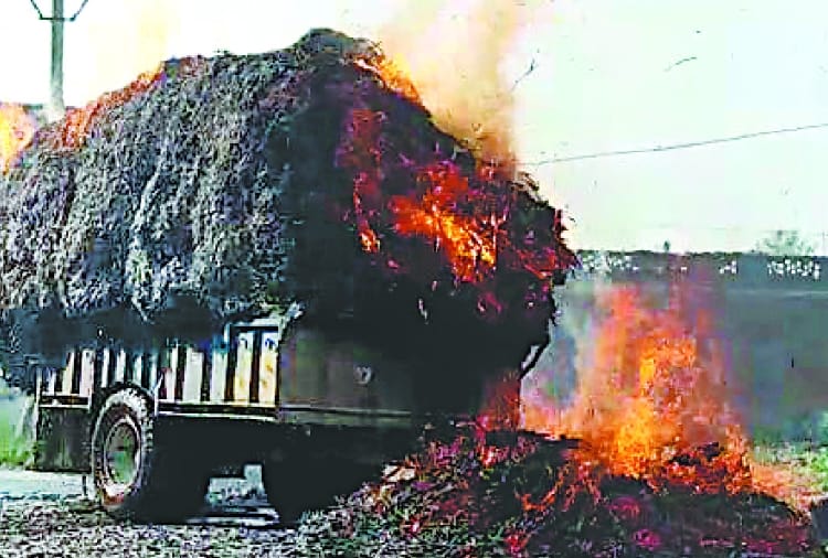 ट्रैक्टर ट्राली में भड़की आग, मक्की के 100 गट्ठे राख