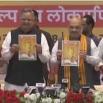 छत्तीसगढ़ चुनाव - भाजपा का संकल्प पत्र