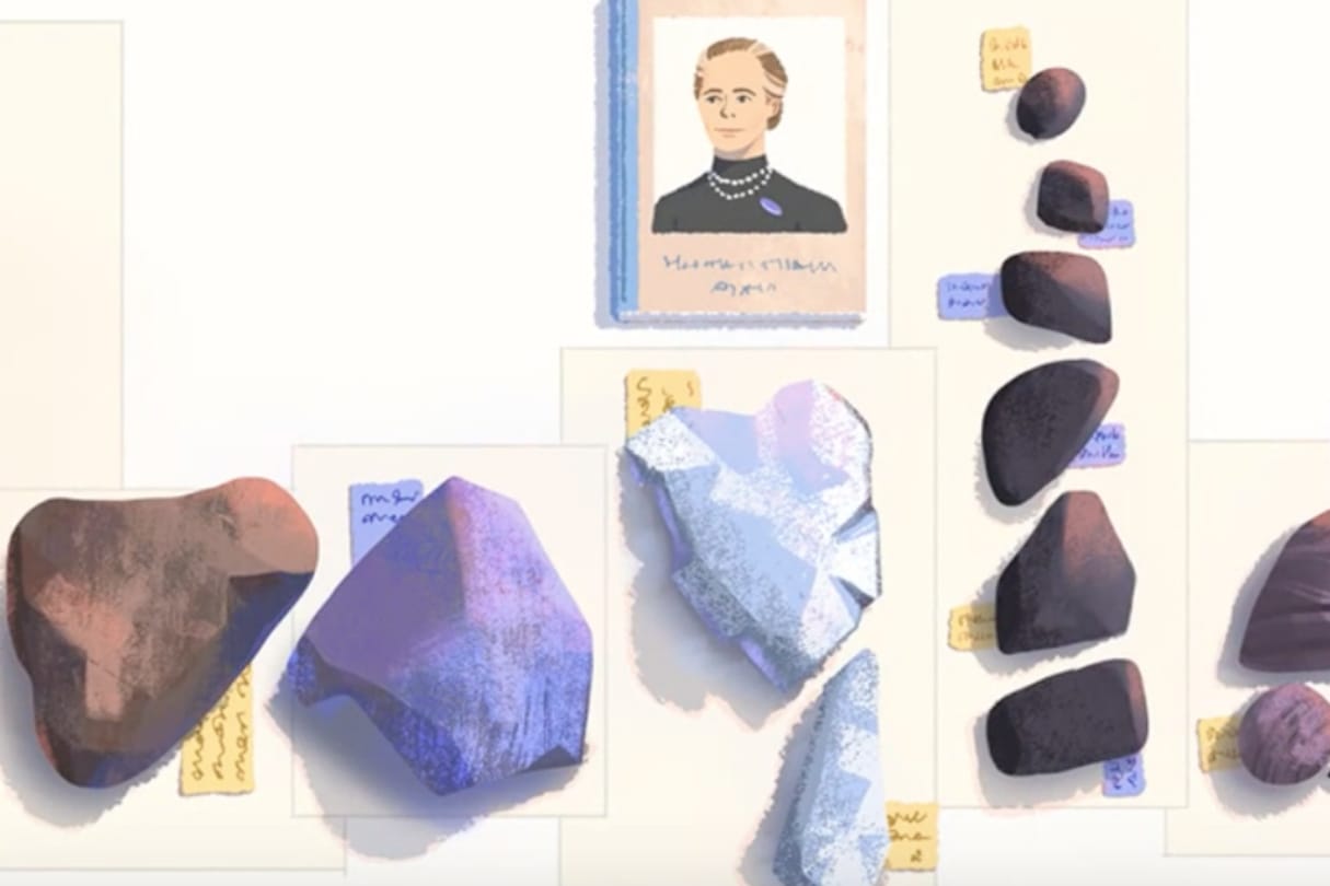 Google Doodle celebrates birth anniversary of first woman engineer