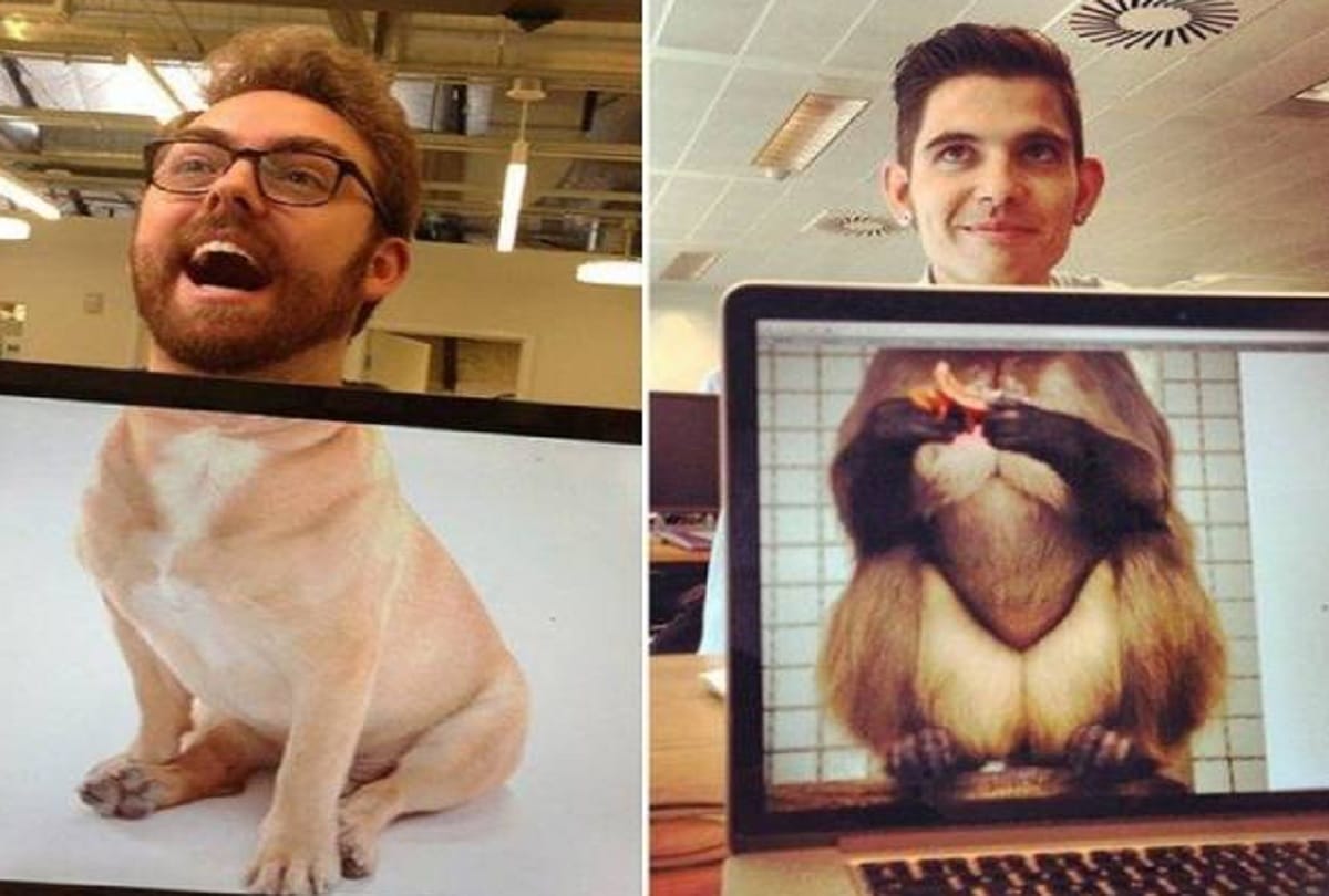 Best funny photos viral on social media
