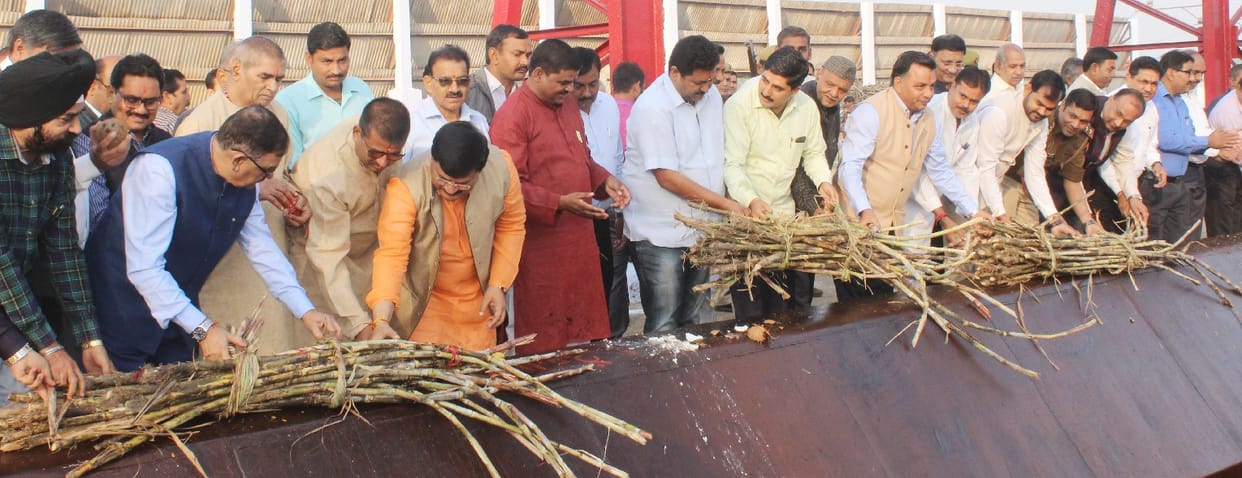 Sugarcane sugar mill starts sugarcane season