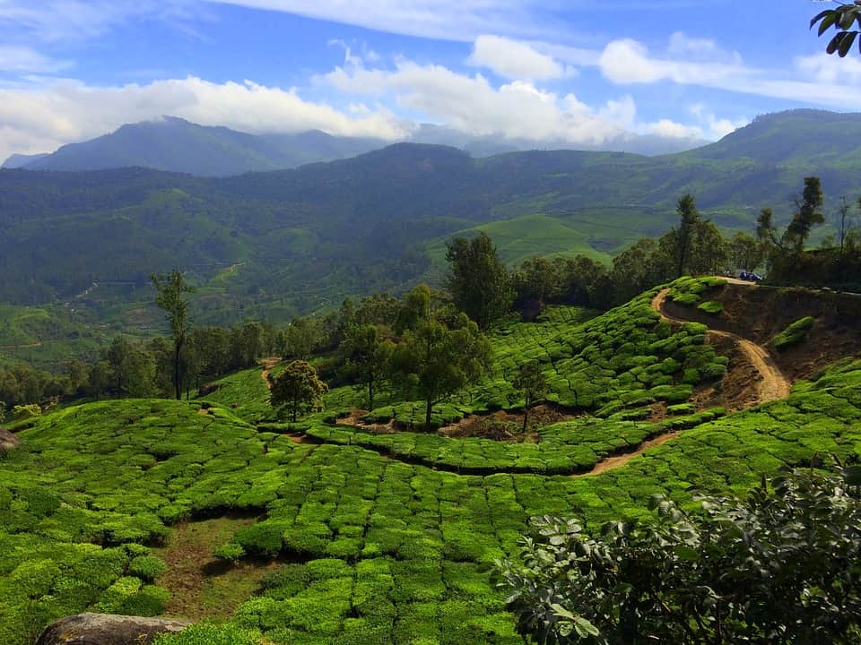 these are the best honeymoon destination of india in summer