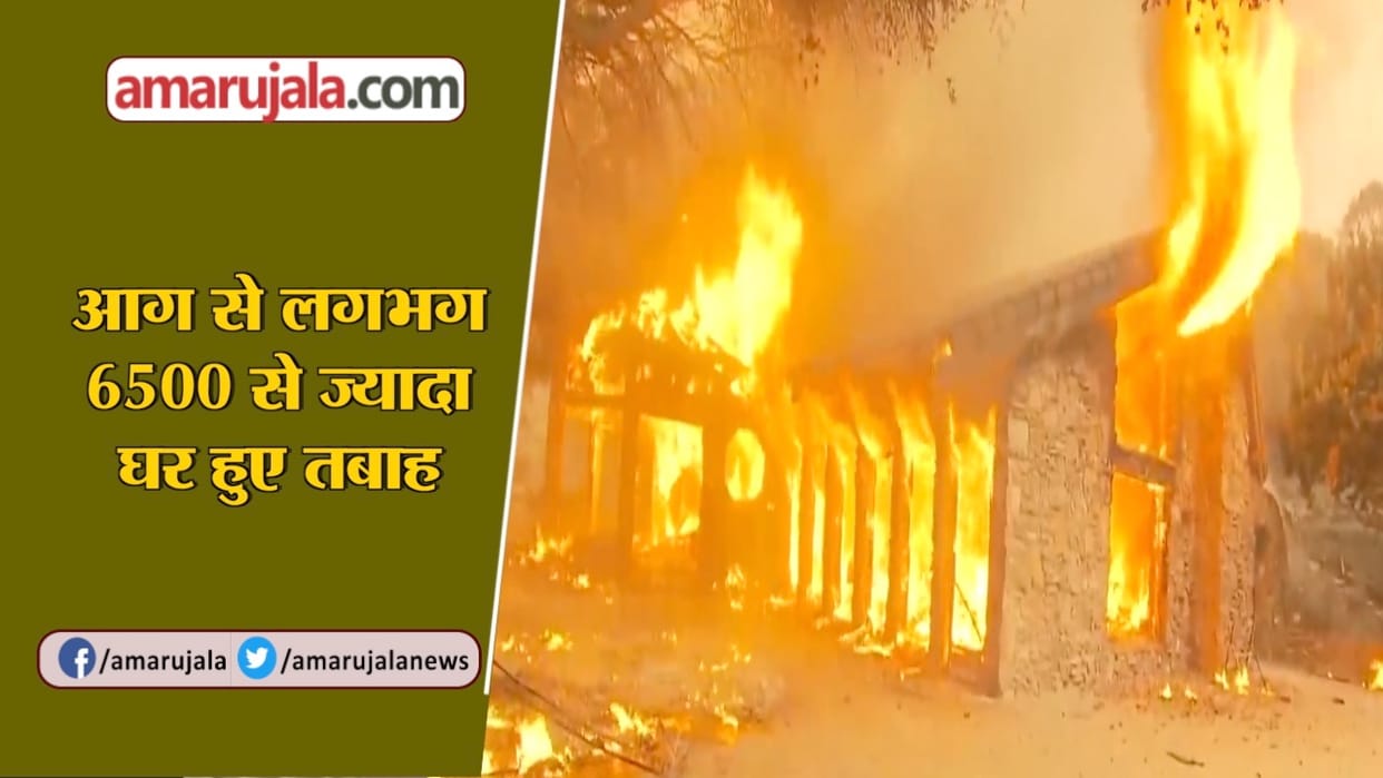 सतलेटा में भीषण अग्निकांड में पशुशाला राख