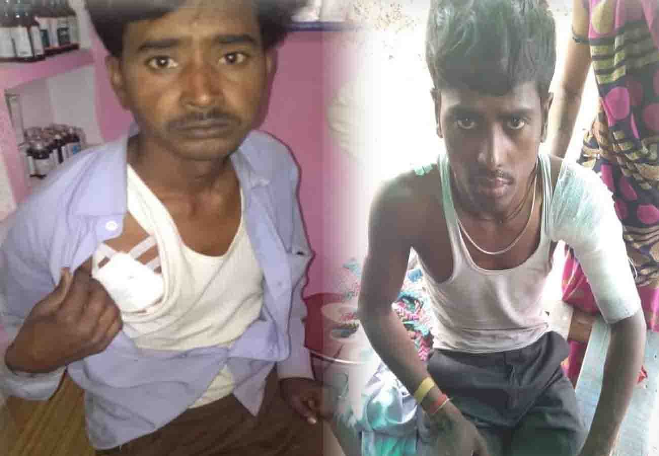 leopard attacks 7 people in hamirpur