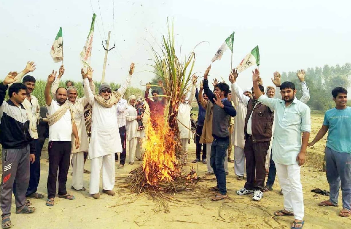 Ralod activists burnt sugarcane corps after did not receive outstanding sugarcane payment in shamli