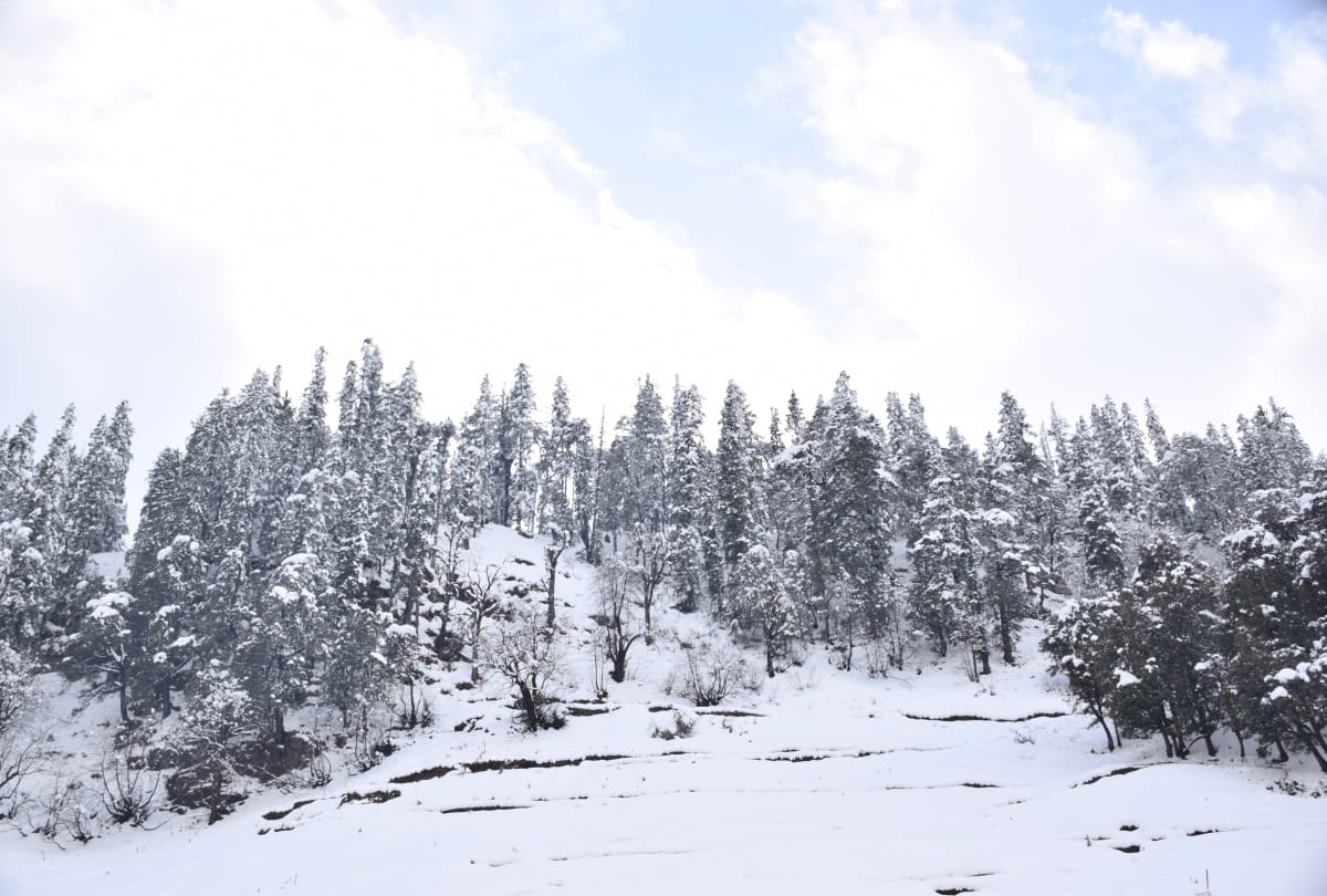 Rain and snowfall in jammu not open Srinagar Kargil highway