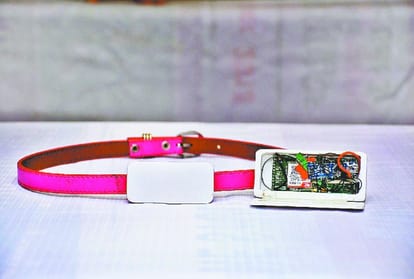 Unique Invention, A Safety Belt Invented by Engineering College Students