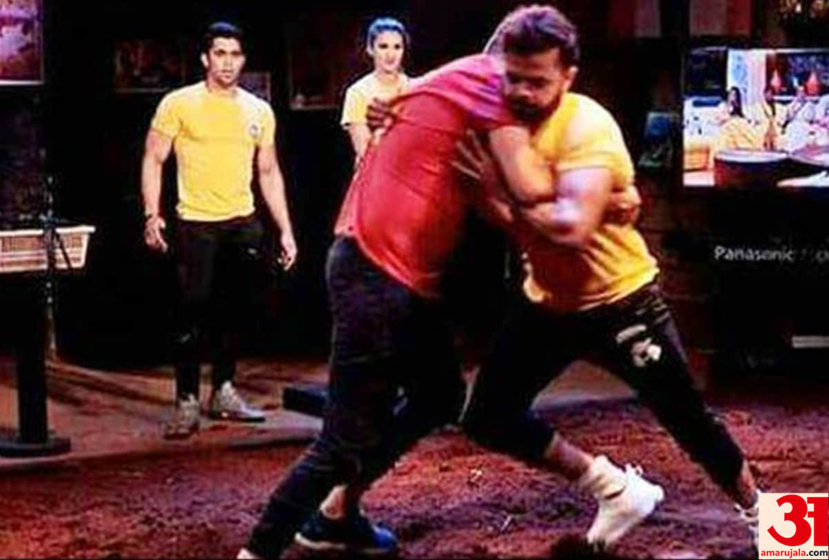 bigg boss 12: sreesanth told karanvir you are not for the bigg boss