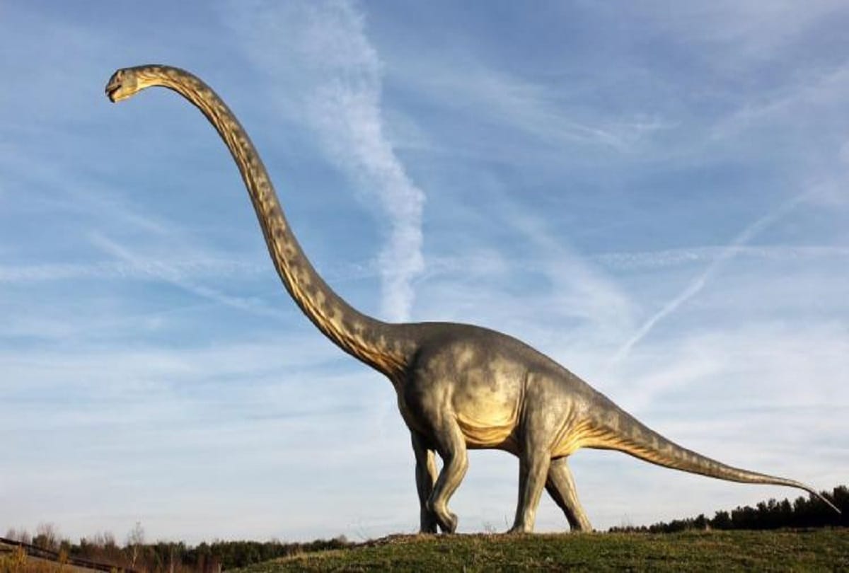 Interesting facts about dinosaurs were either humongous or tiny know causes