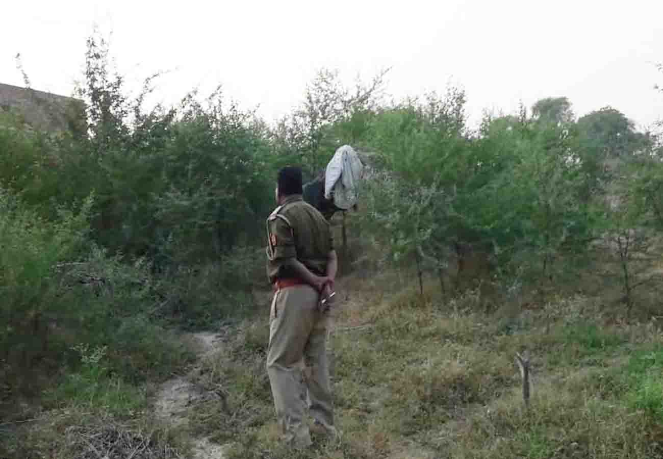 leopard did not get caught After 24 hours of search operation