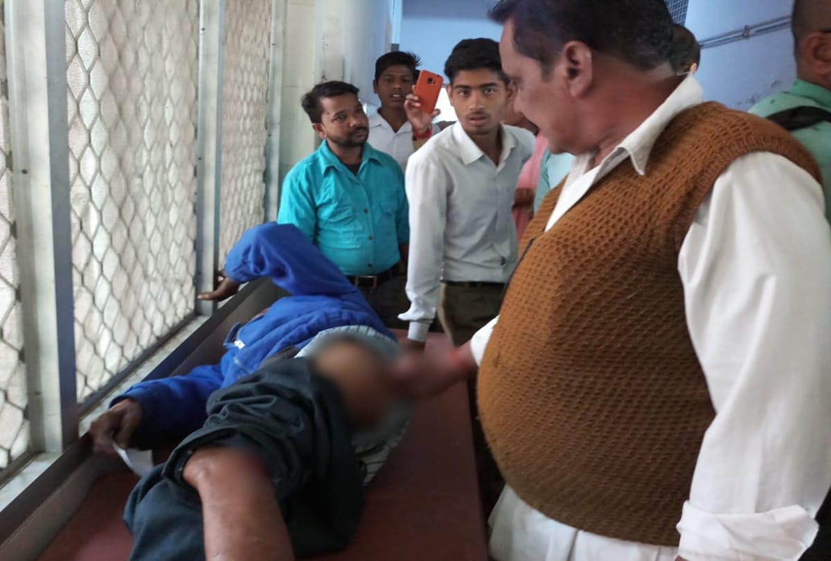Tiger attacked on a cyclist in Pilibhit, admitted in hospital