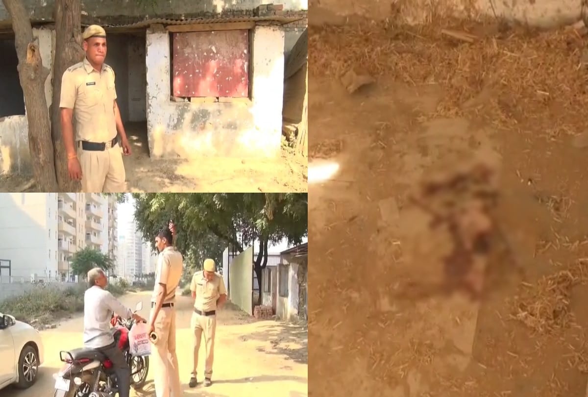 three year old girl brutally murdered after Sexual harassment in gurugram