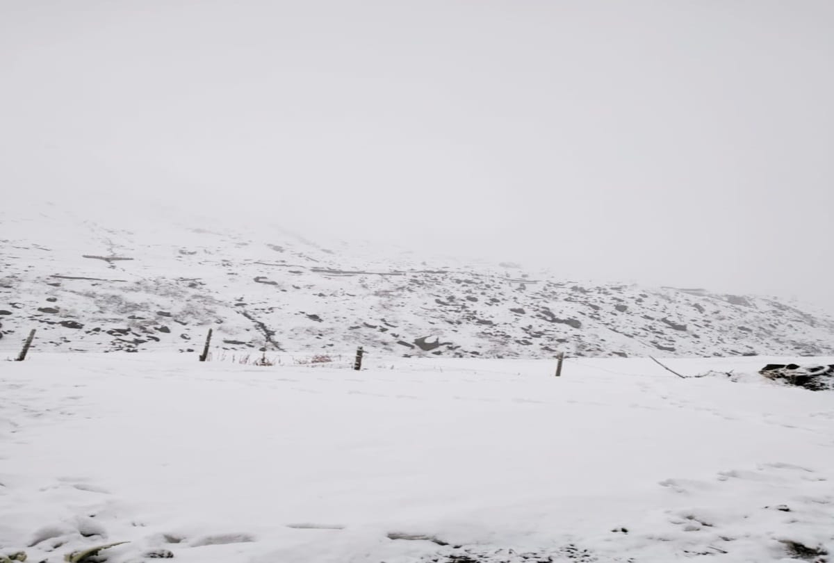 snowfall continued in high hills of himachal pradesh