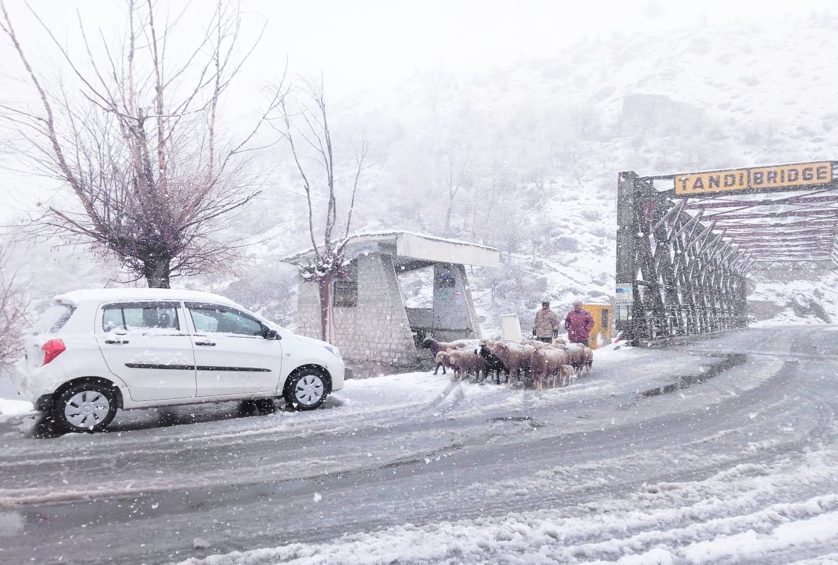 snowfall continued in high hills of himachal pradesh