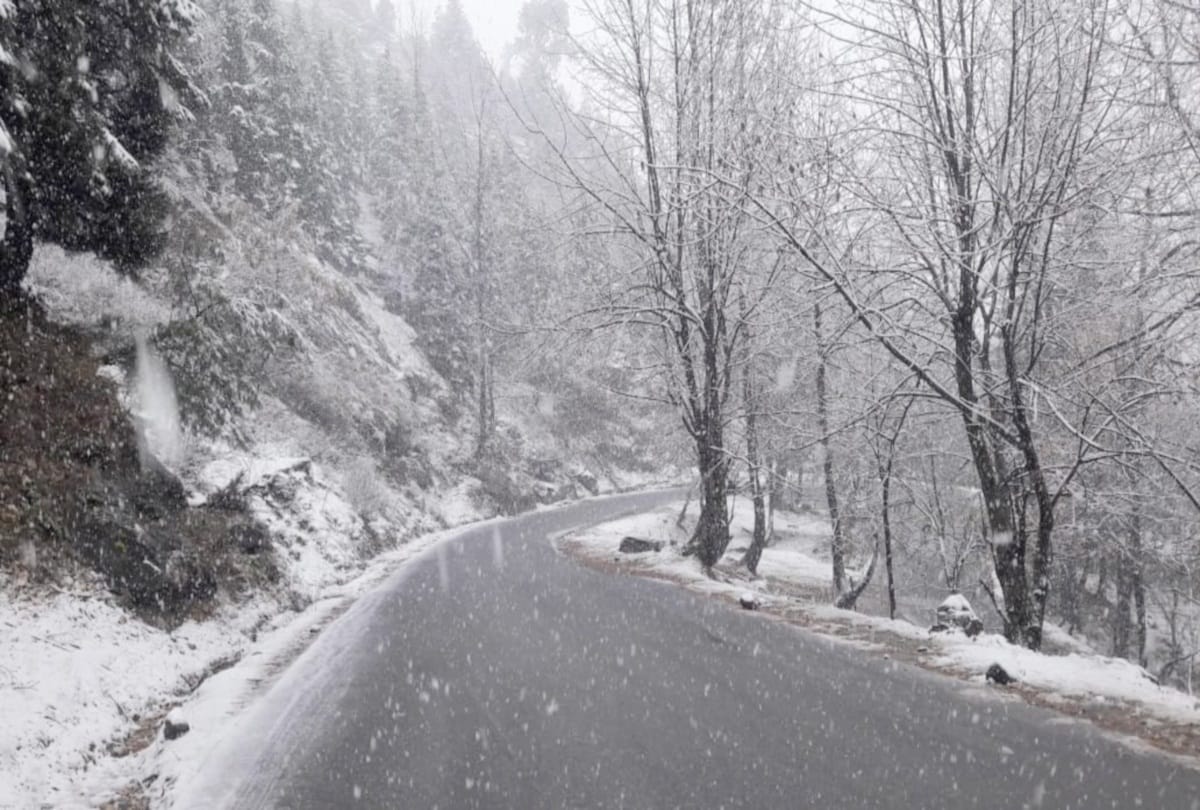 fresh snowfall in badrinath and kedarnath uttarakhand