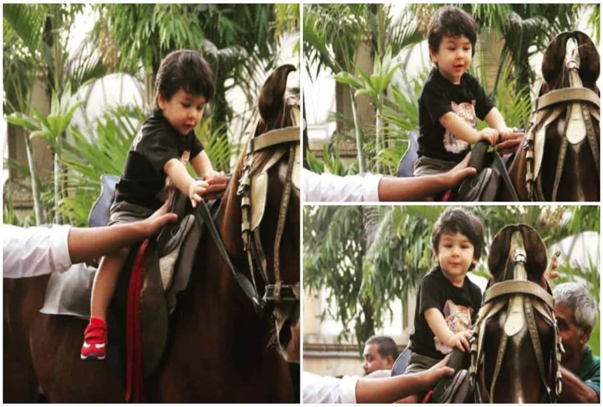 taimur ali khan horse riding pictures goes viral on internet