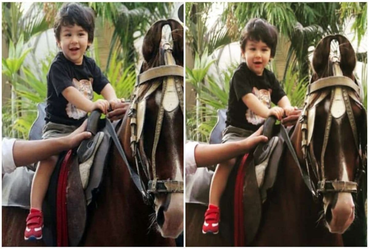 Taimur popularity increases soft toy came into the market picture viral on social media