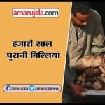 इजिप्ट