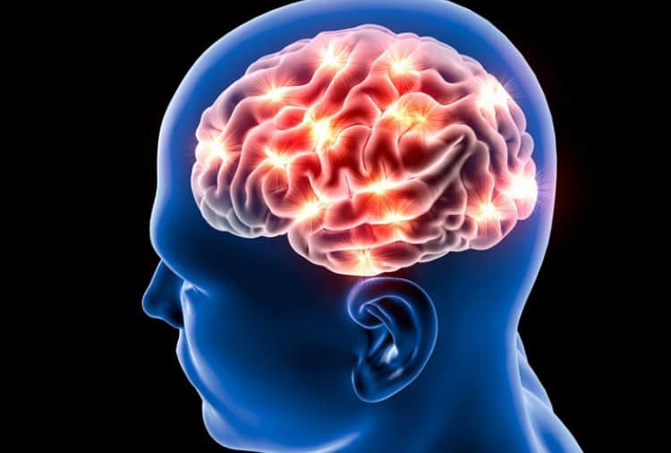chandigarh Know the causes and symptoms of brain stroke