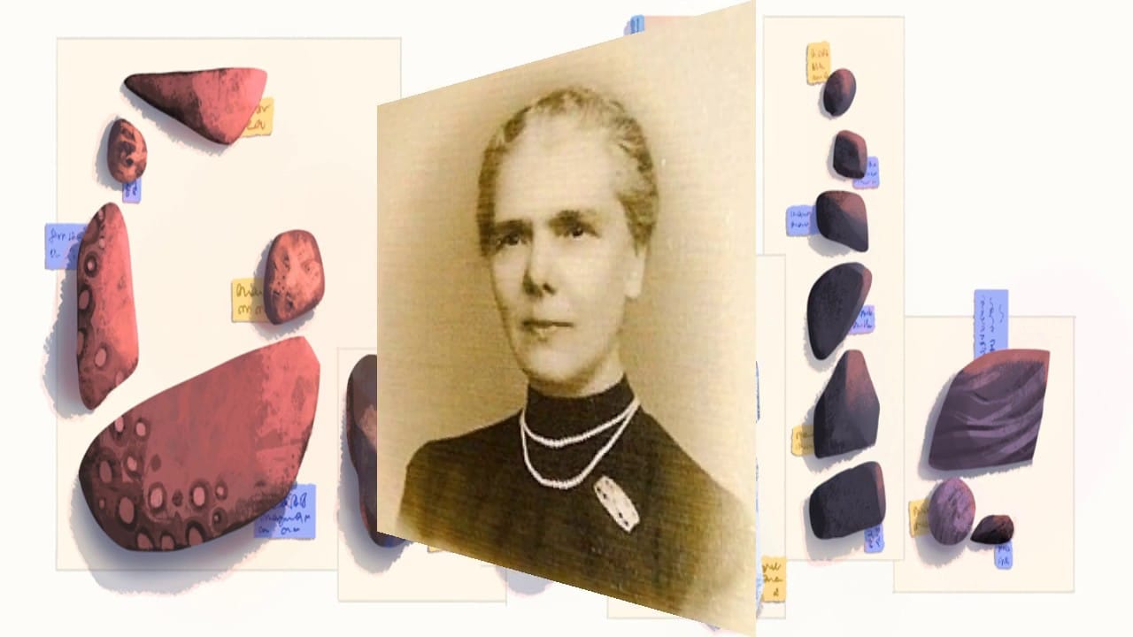 elisa leonida zamfirescu is the first female engineer know about her life