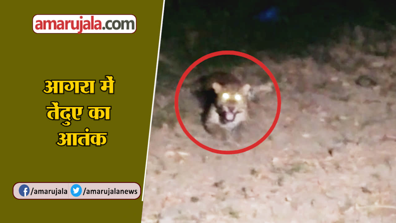 आगरा न्यूज