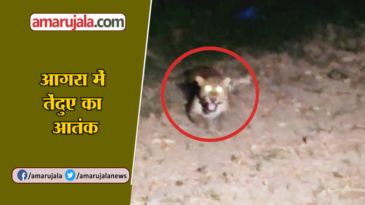 आगरा न्यूज