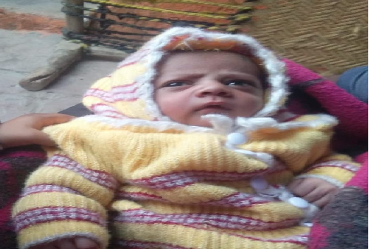monkey killed child In Agra of uttar prades