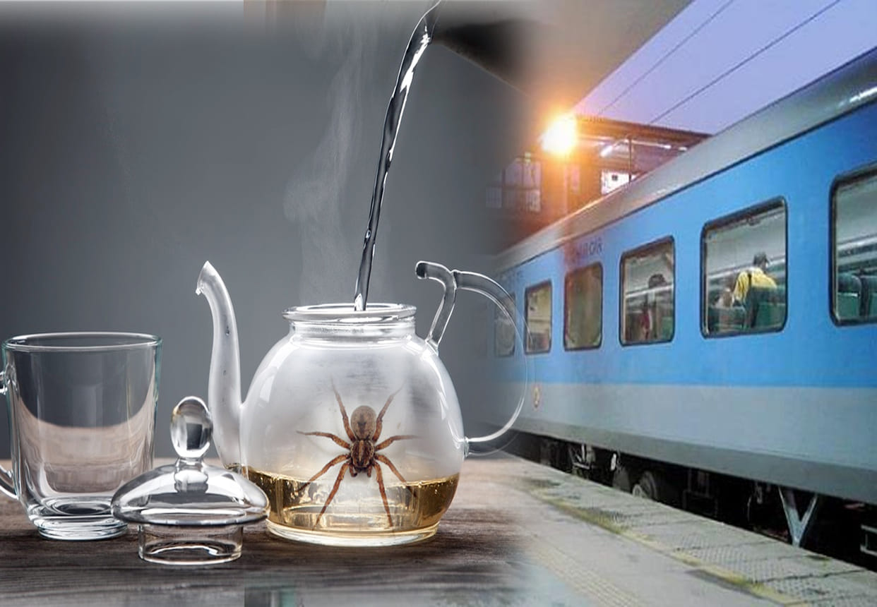 spider find out in tea water in Shatabdi Express
